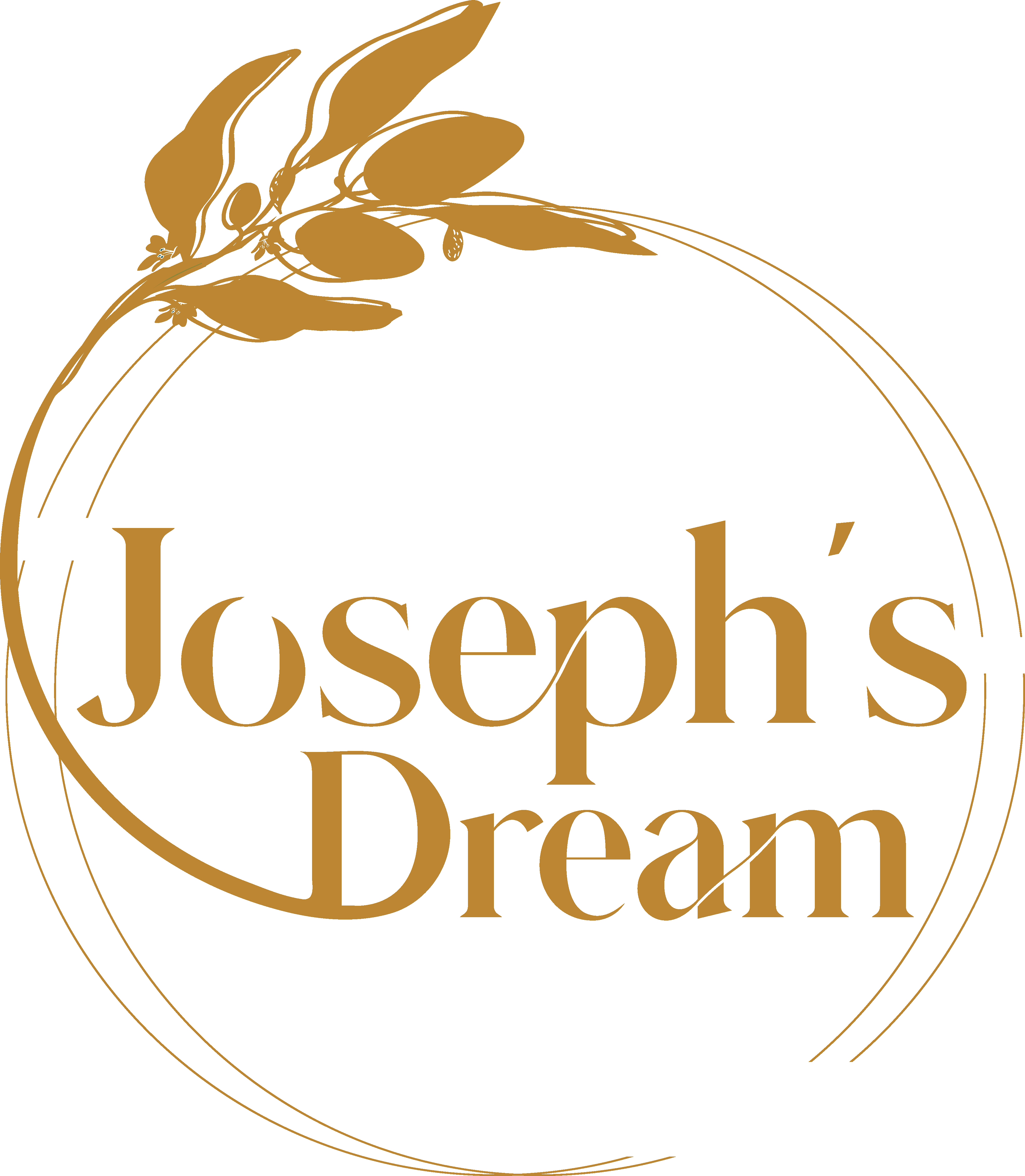 Joseph's Dream